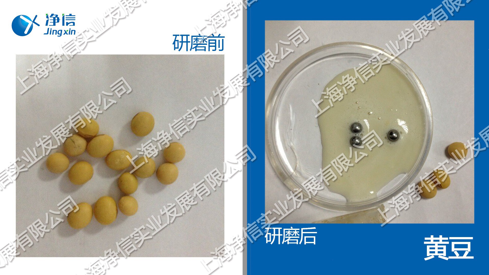 多樣品組織研磨儀-24