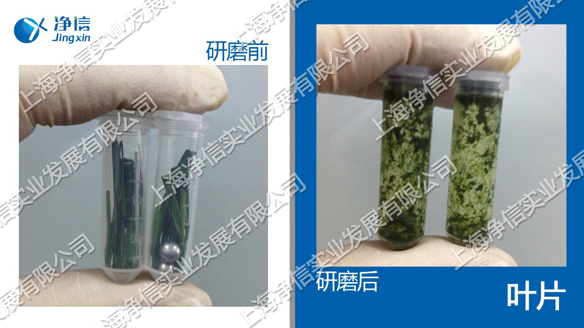 多樣品組織研磨儀-24